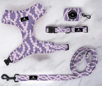 Crown flower mini set