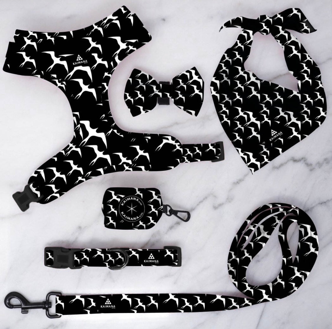 Iwa bird harness
