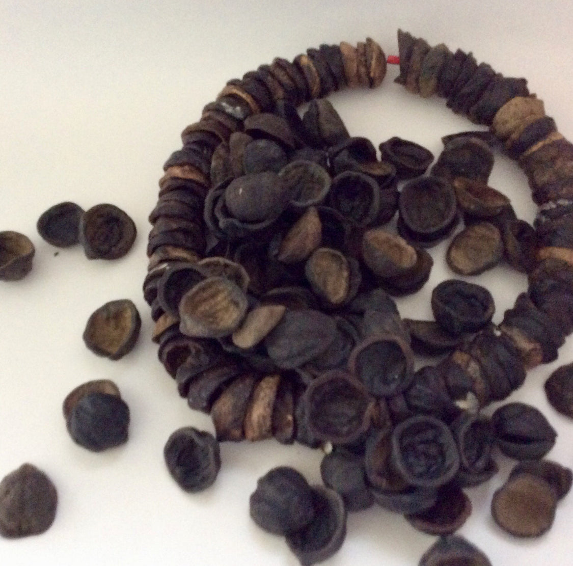 Hawaiian Kukui Lei