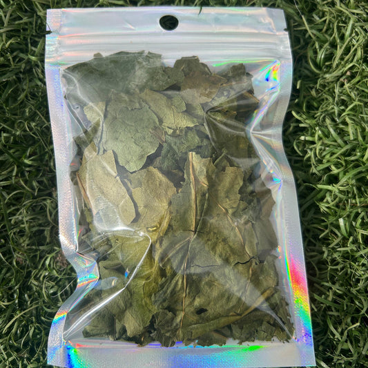 Noni tea leaf